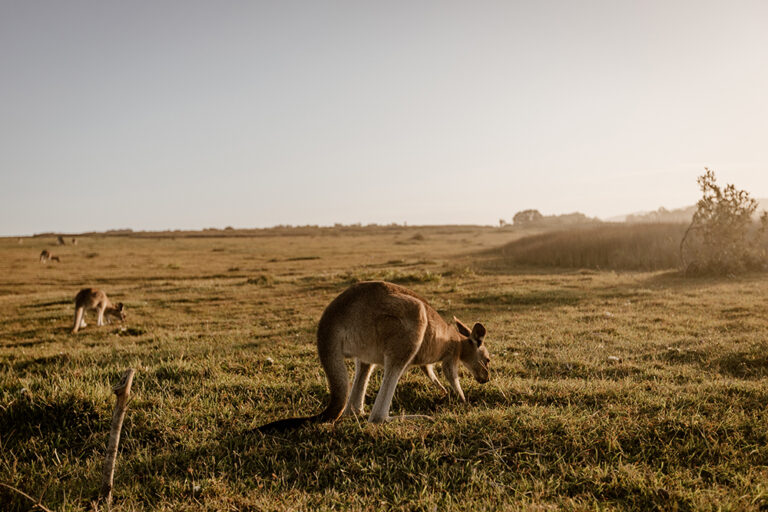 The Top Hidden Gems in Australia to Explore by Motorhome