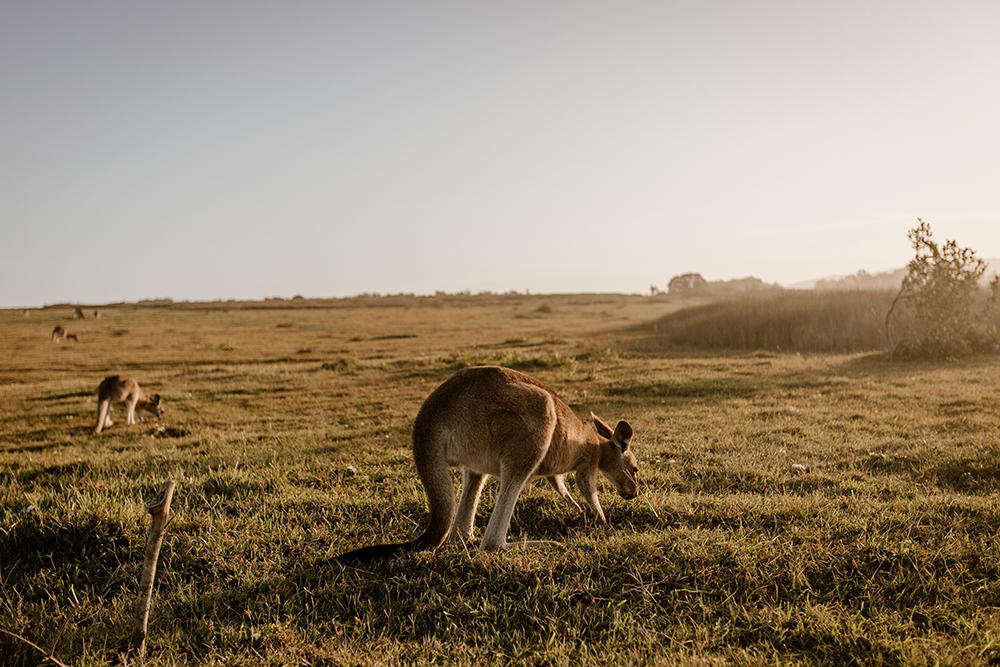 The Top Hidden Gems in Australia to Explore by Motorhome